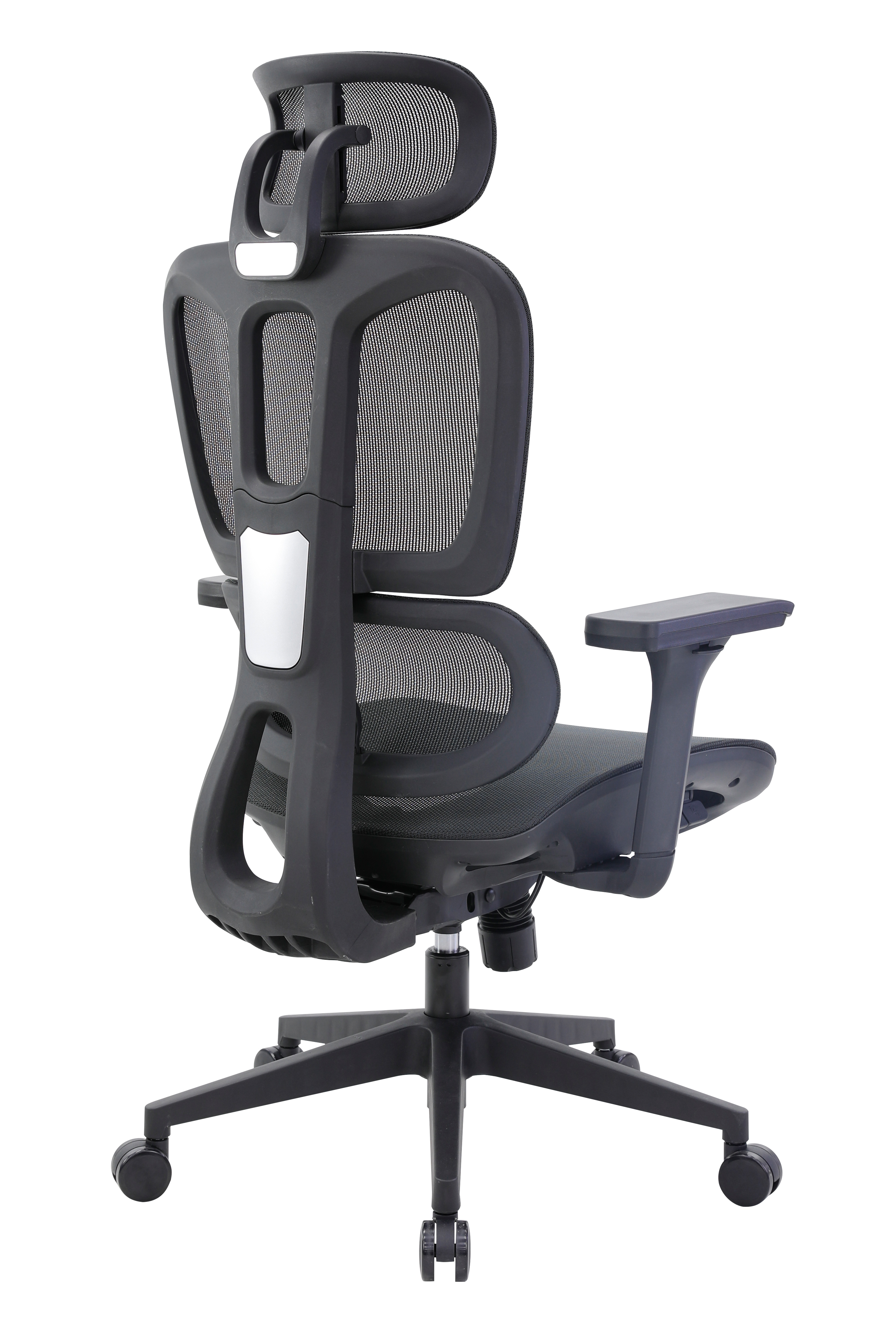 BH01SG 班赫主管網椅 - 後側面135 度視角