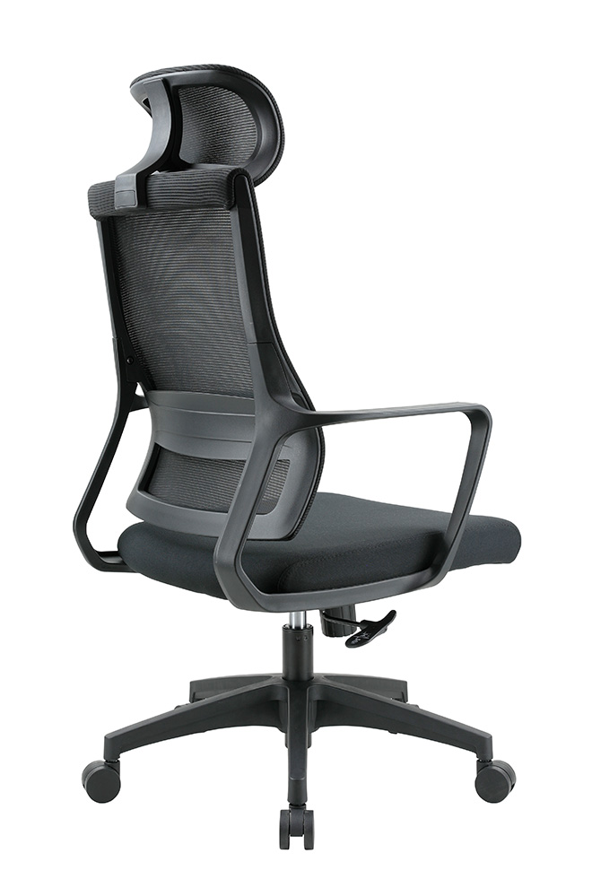 LN01TG 利恩高背主管網椅 - 後側面135 度視角