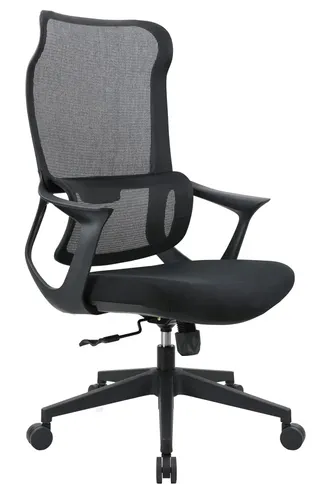 LR01TG 拉斐爾主管網椅