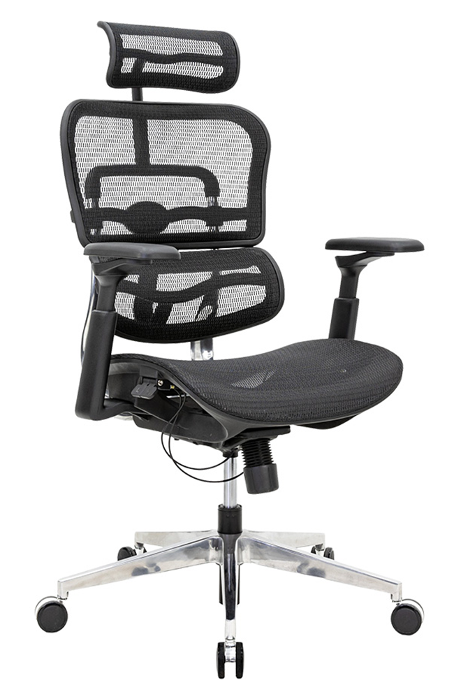 BA01SGA 本奧人體工學全網椅 - 側面 45 度視角