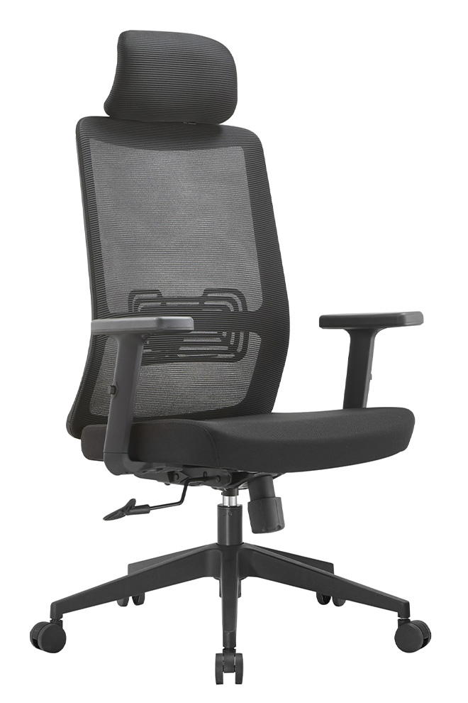 RZ01STG 雷傑高背網椅 - 側面 45 度視角