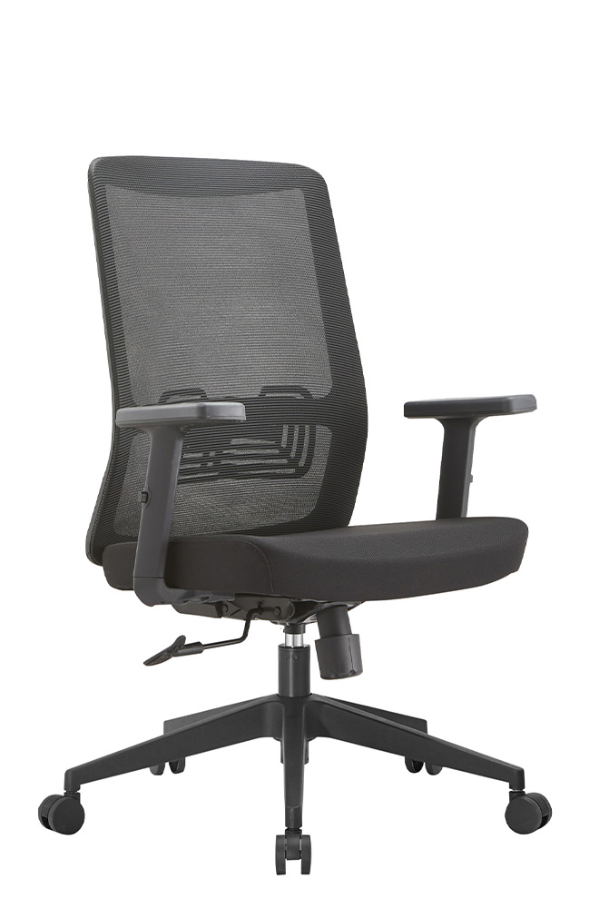 RZ02STG 雷傑扶手網椅 - 側面 45 度視角