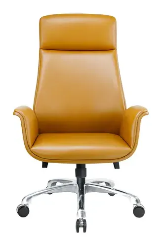 109年10月哈蒂主管皮椅