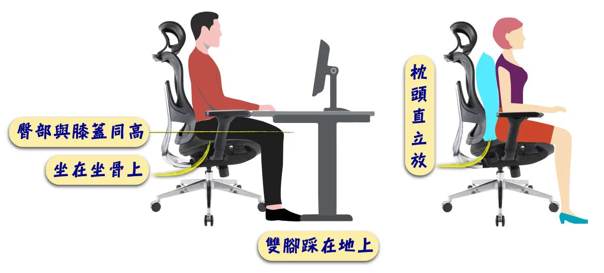 112年2月保持腰椎健康