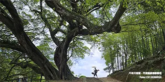 2026年5月董事長夥伴通訊：全球AI浪潮下的經營觀察與時區哲學
