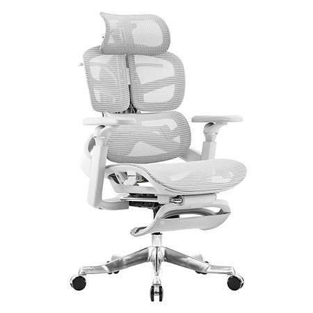 艾因人體工學全網椅灰色