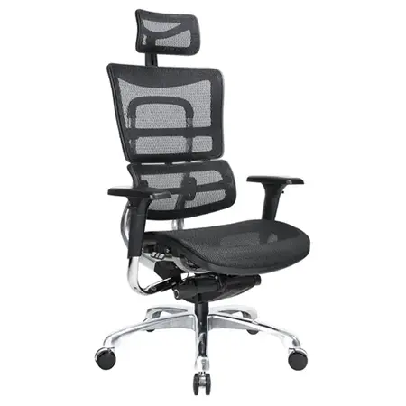 本澤馬人體工學椅