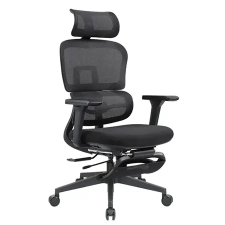 BN01SGCF 伯恩人體工學椅附腳墊