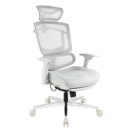 BR01SGCF-G 布朗人體工學椅灰框