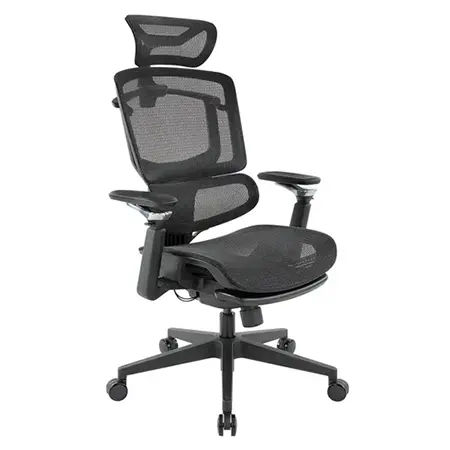 BR01SGF 布朗人體工學全網椅