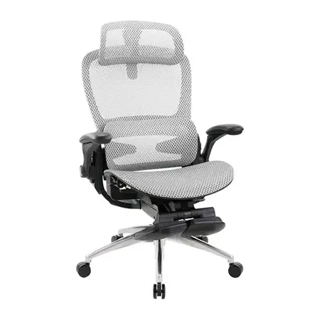 比克人體工學全網椅