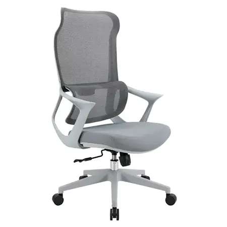 LR01TG-G 拉斐爾主管網椅灰框